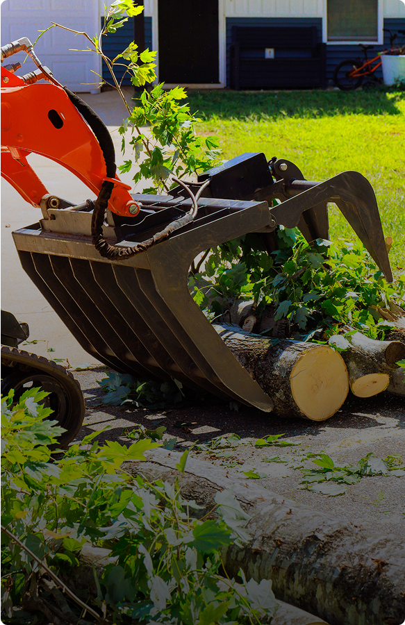 Construction equipment handling wood debris