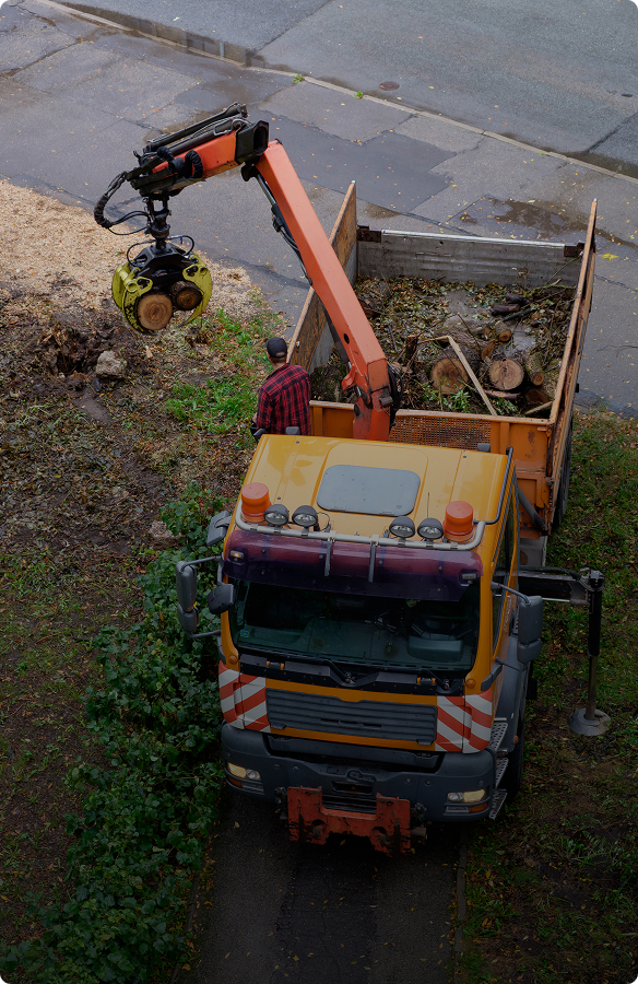 Wood being loaded into a truck