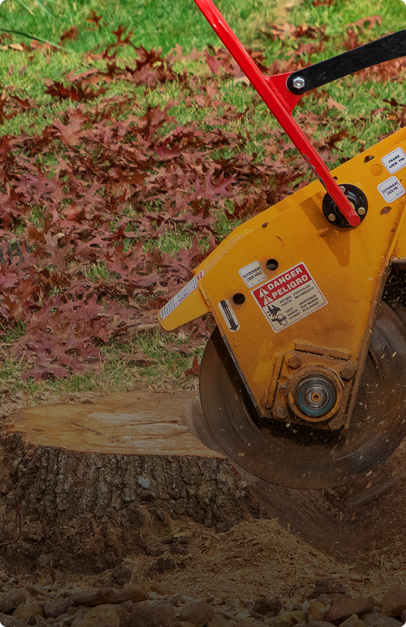 Yellow machine cutting tree stump