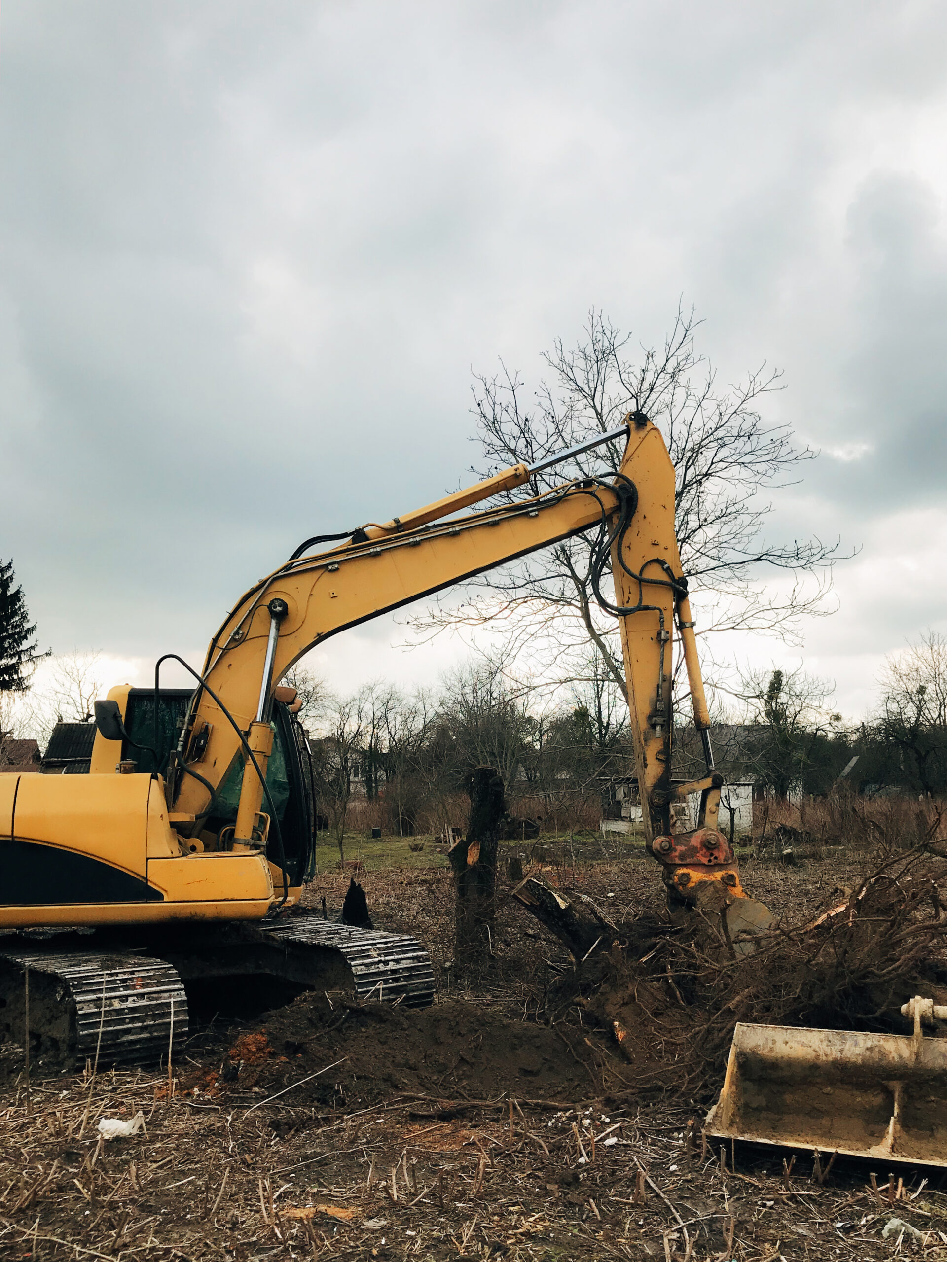 Excavator uprooting trees on land in countryside. Bulldozer clearing land from old trees, roots and branches with dirt and trash. Backhoe machinery. Yard work